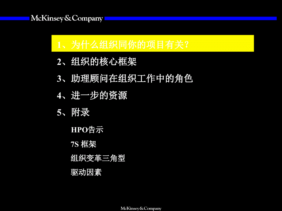 {企业管理咨询}某咨询组织概述与基本框架_第4页