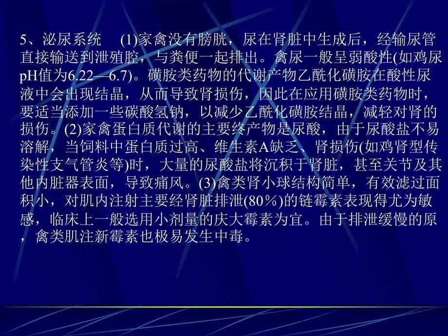 养鸡与鸡病防治演讲稿 (2)ppt课件_第5页