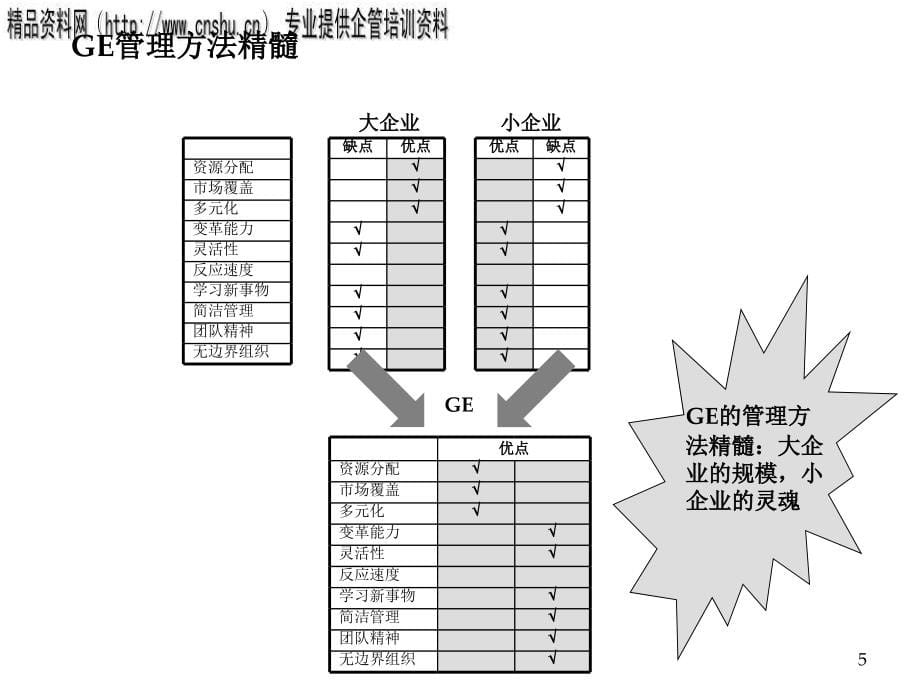 {日化行业管理}日化行业GE管理在中国企业中的应用讲义_第5页