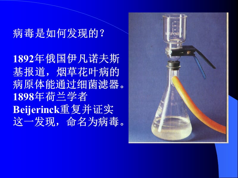 {农业与畜牧管理}病毒的结构畜牧微生物学_第2页