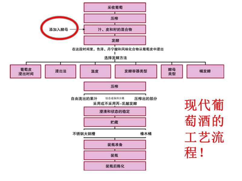 {酒类资料}新修改)果酒和果醋研究讲义_第3页