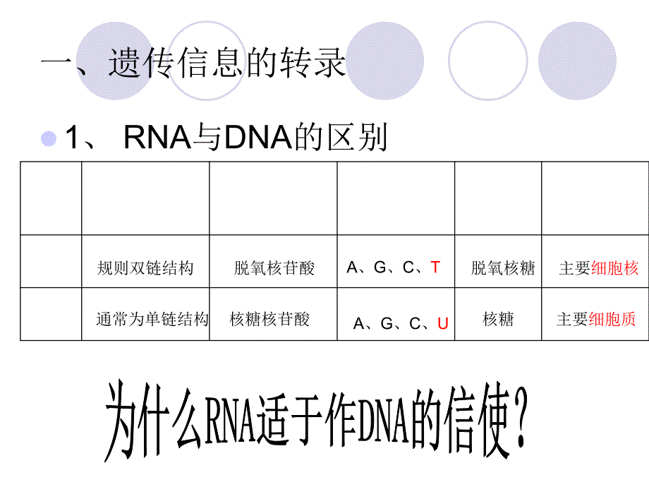 第一节基因指导蛋白质合成（第一课时）课件_第2页