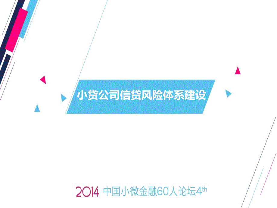 {企业风险管理}小贷公司信贷风险体系建设_第1页