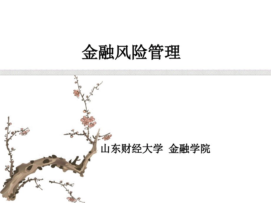 {企业风险管理}金融风险管理培训讲义PPT94页_第1页