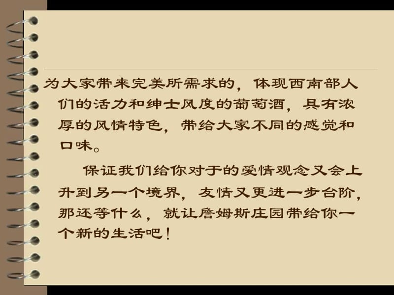 {酒类资料}葡萄酒上市策划_第4页