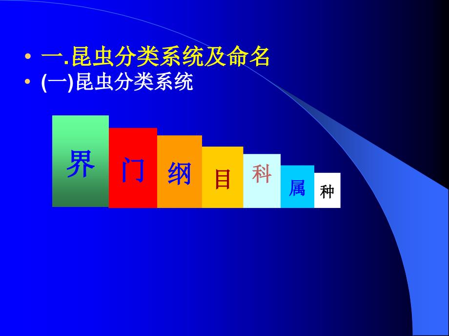 {农业与畜牧管理}农业昆虫重要类群的识别_第3页