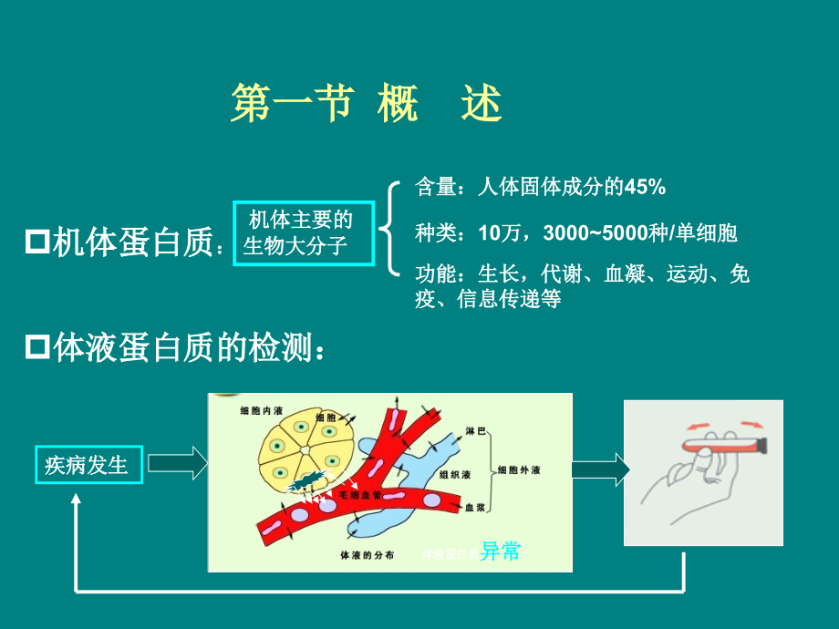 血清蛋白质测定[1]ppt课件_第3页