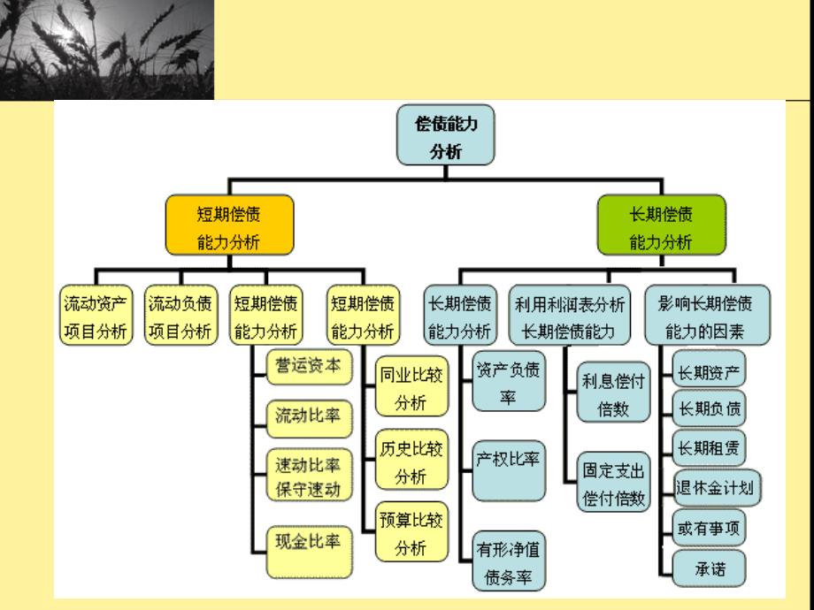 {金融保险管理}金融报表分析3偿债能力分析_第3页