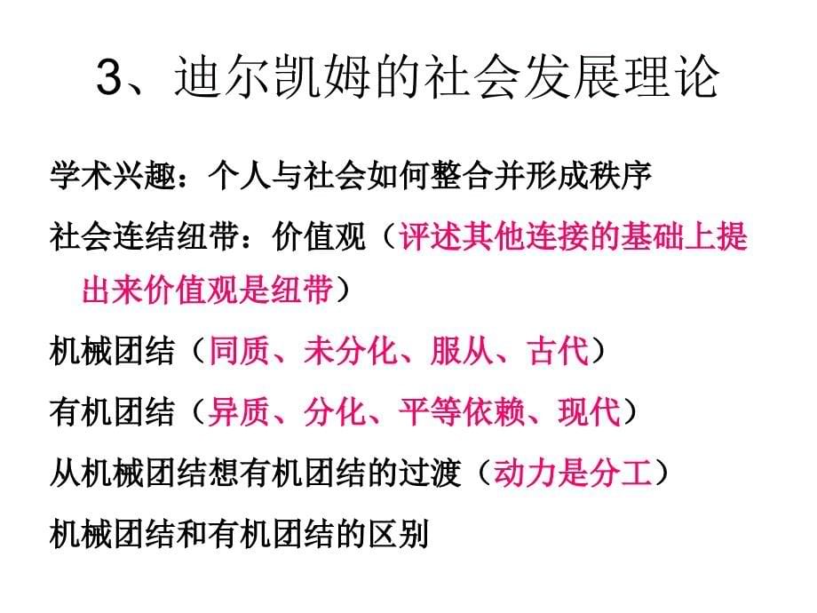 {企业发展战略}当代社会发展理论概述_第5页