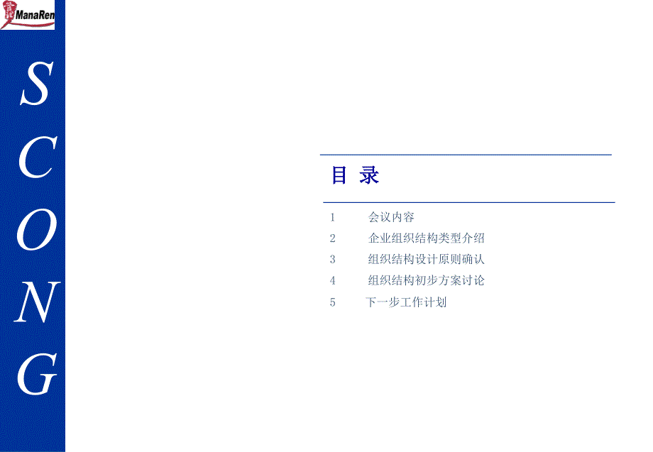 {企业管理咨询}某著名咨询公司四川鸿达集团组织结构设计报告_第2页