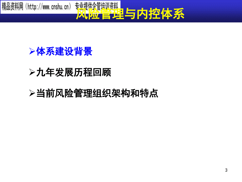 {企业风险管理}某公司风险管理与内控体系交流报告_第3页