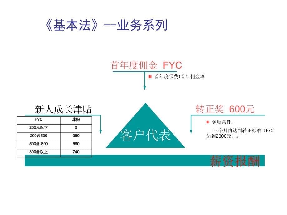 {金融保险管理}某某某年某保险公司基本法60页_第5页