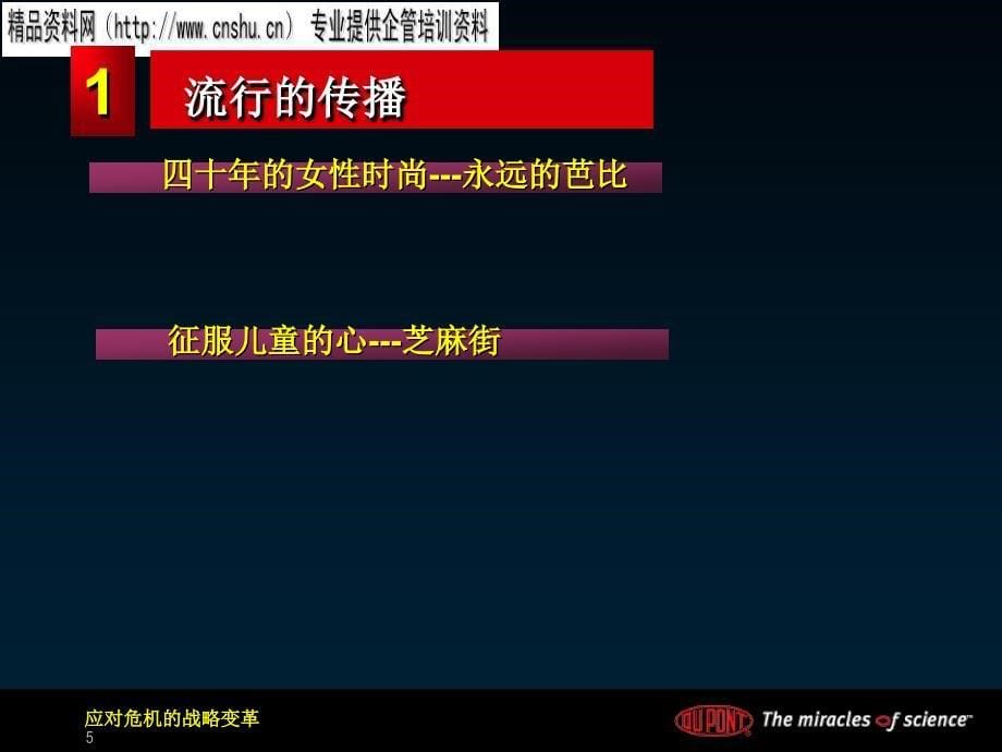 {能源化工管理}论能源行业基于品牌的战略_第5页