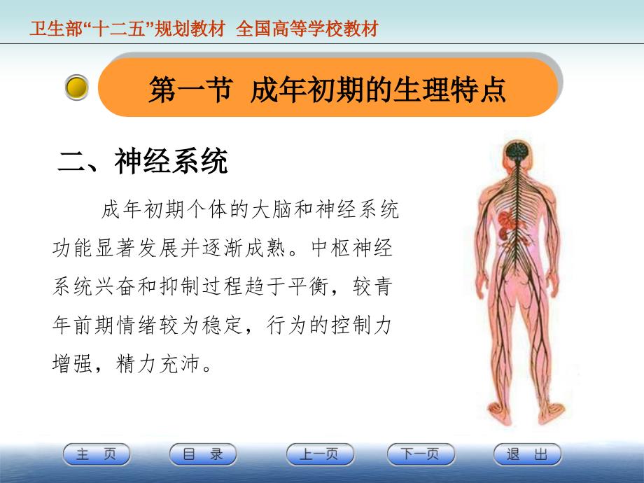 {企业发展战略}成年初期的身心发展规律与特点讲义_第4页