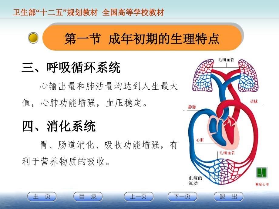 {企业发展战略}成年初期的身心发展规律与特点讲义_第5页