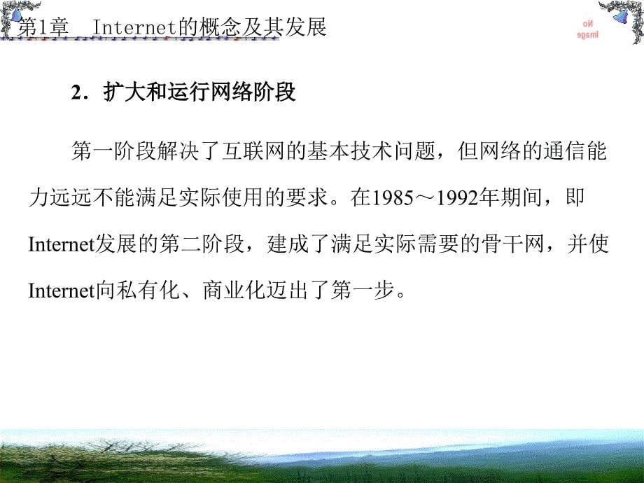 {企业发展战略}Internet的概念及其发展讲义_第5页