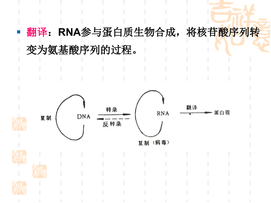 {生物科技管理}第六章蛋白质生物合成_第2页