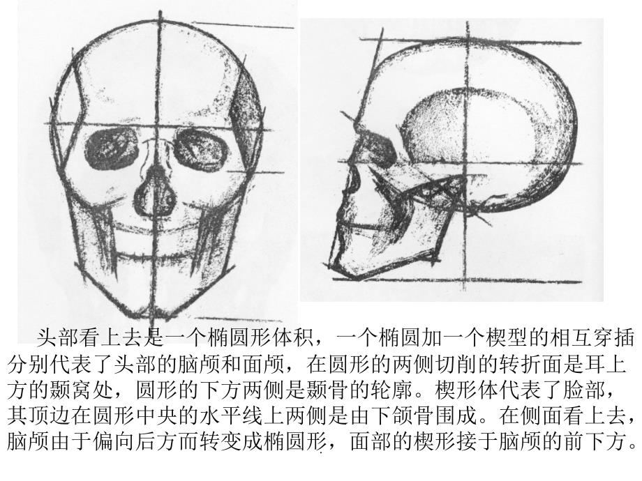 艺用解剖头部最新版本_第4页