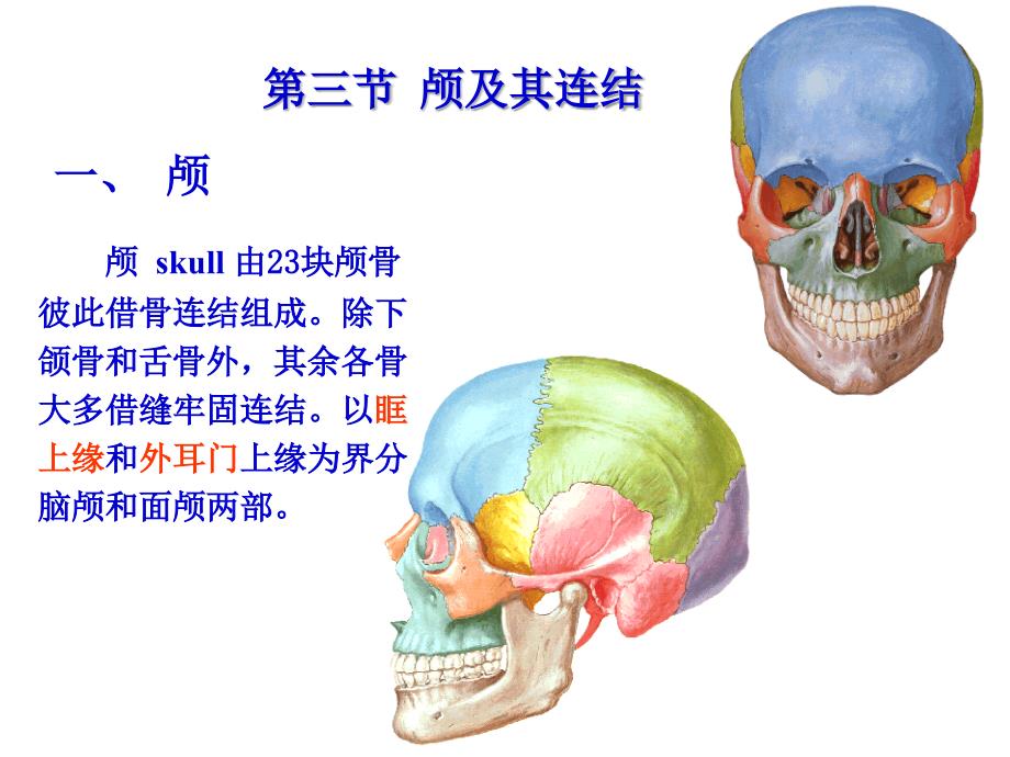 第三节颅骨及其连结教学幻灯片_第1页