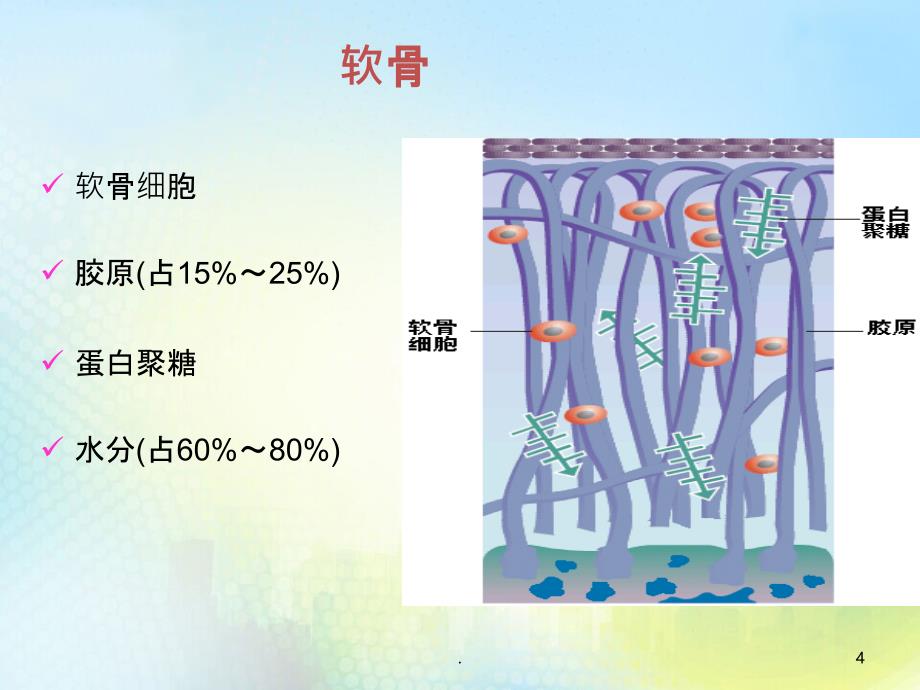 骨关节炎疾病PPT课件_第4页