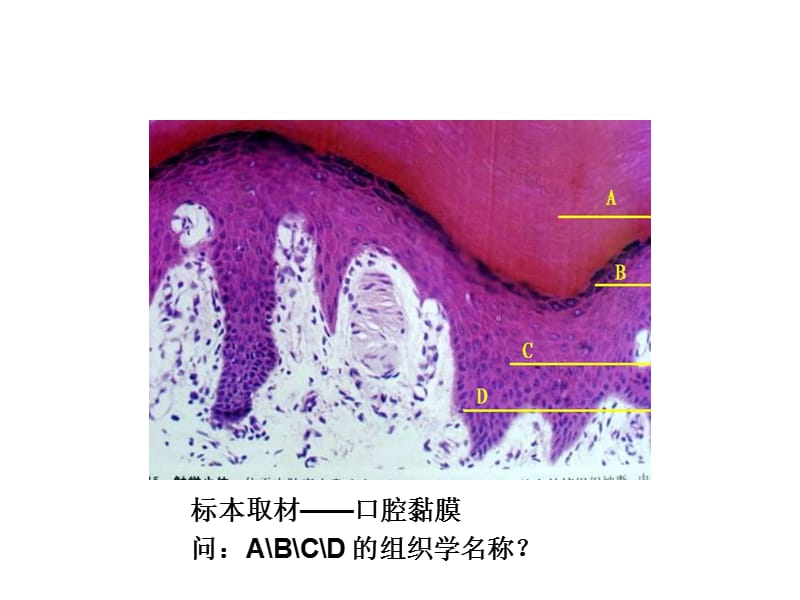 问：根据该患者的临床表现判断为何种疾病 （名称）？_第3页