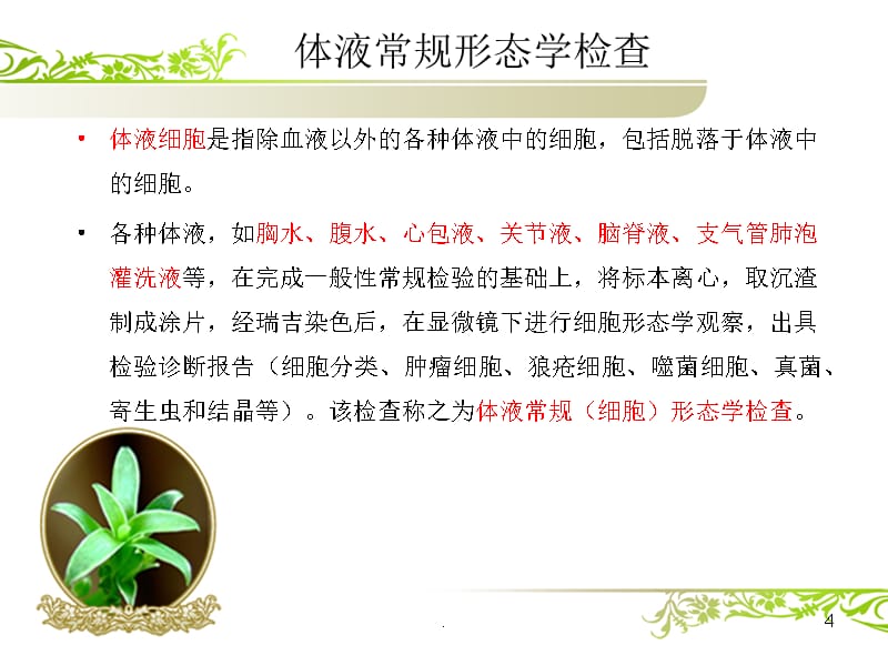 体液细胞形态学(一)PPT课件_第4页