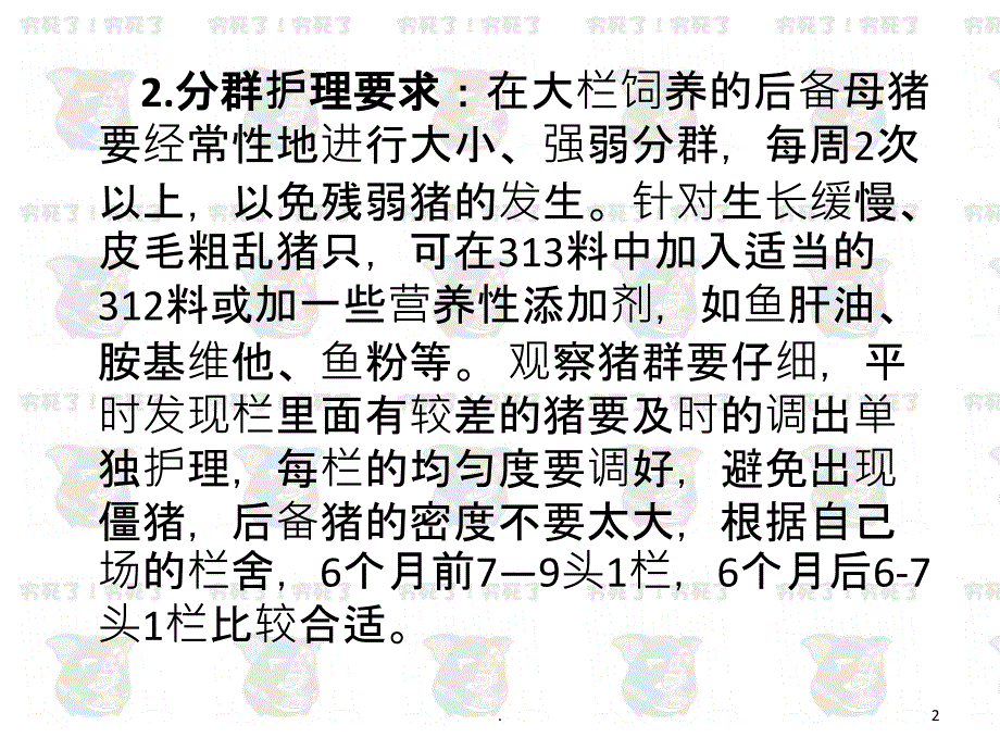 后备母猪饲养管理要求PPT课件_第2页