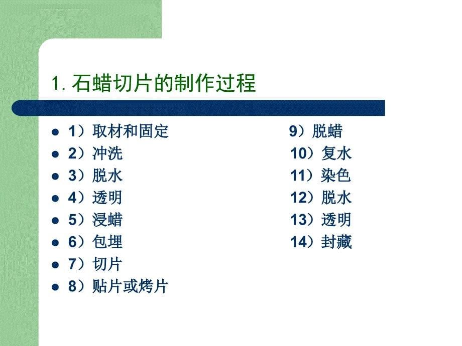 实验1 上皮组织和肌组织课件_第5页