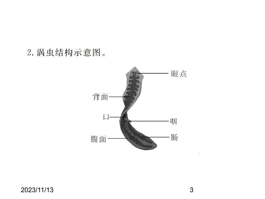 最新人教版八年级上册生物 精品课件 关键识图集锦_第3页