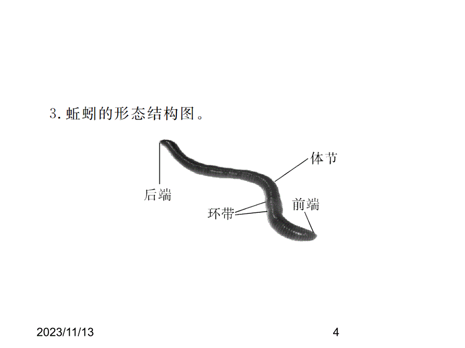 最新人教版八年级上册生物 精品课件 关键识图集锦_第4页