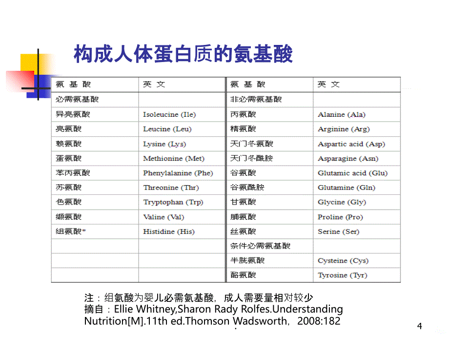 营养学-蛋白质PPT课件_第4页