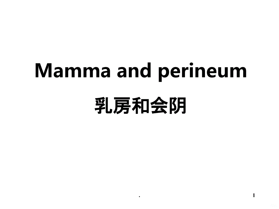 乳房和会阴PPT课件_第1页