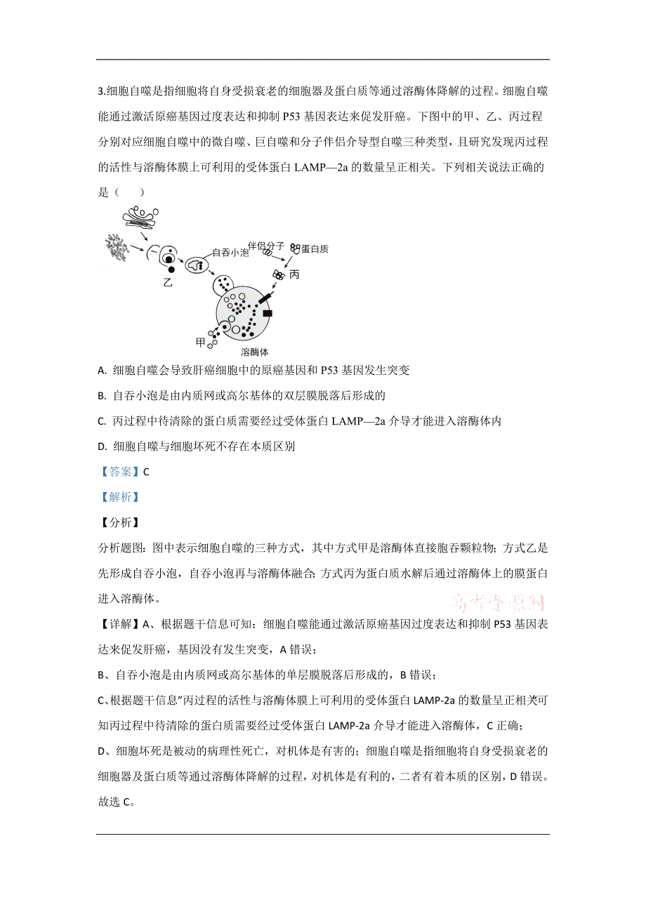 山东省威海市2020届高三第二次模拟生物试题 Word版含解析_第3页