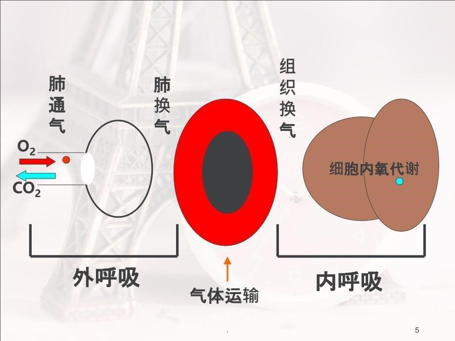 内科护理学-呼衰PPT课件_第5页