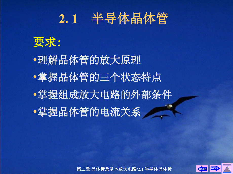 第02章晶体管及基本放大电路教学材料_第2页