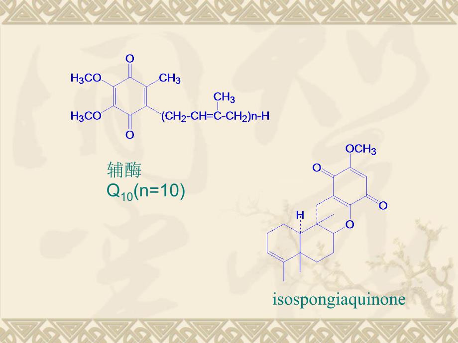 第四章醌类化合物幻灯片资料_第3页