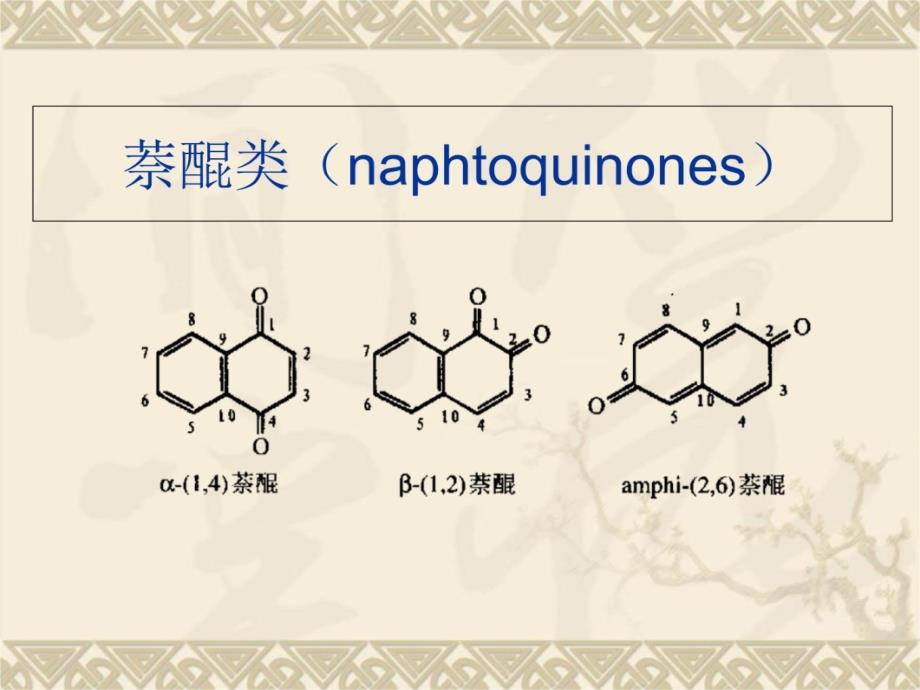 第四章醌类化合物幻灯片资料_第4页