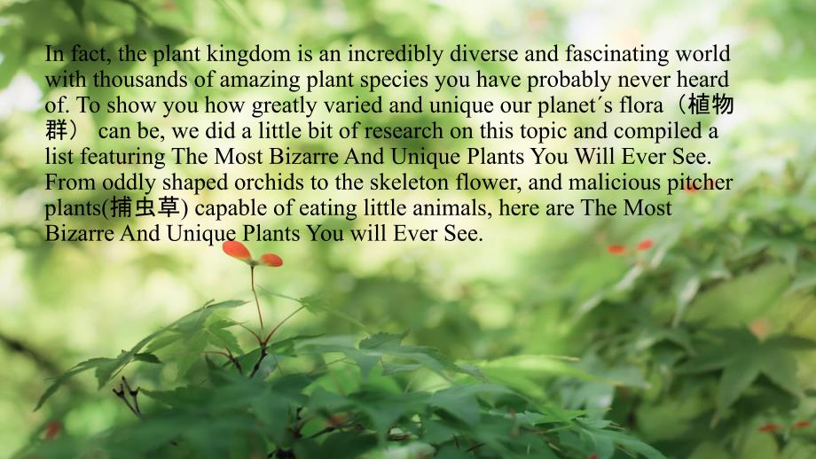奇妙的植物 The Most Bizarre Plants In The World课件_第3页