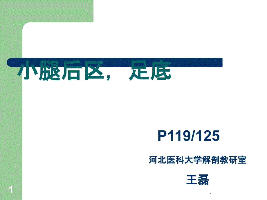 小腿后区足底PPT课件_第1页