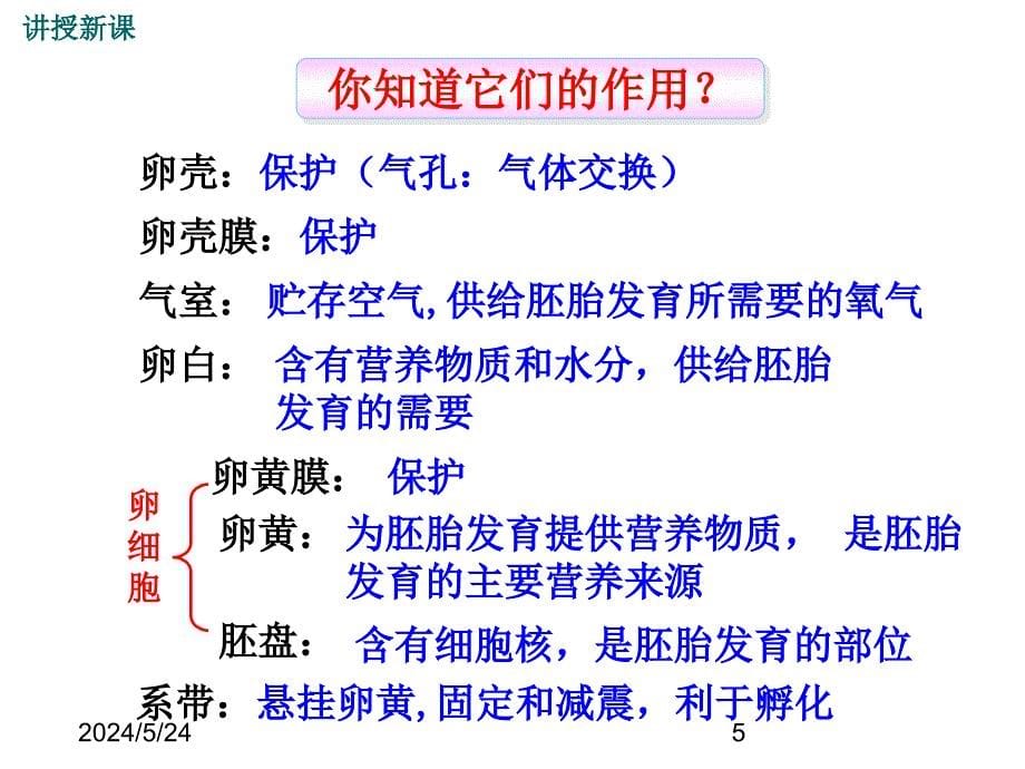 最新人教版八年级下册生物 精品课件 第四节鸟的生殖和发育-第四节 鸟的生殖和发育_第5页