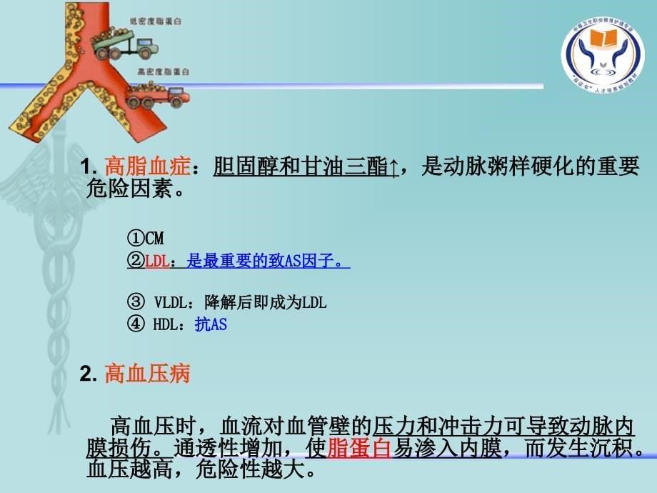 第十三章第一节动脉粥样硬化复习课程_第5页