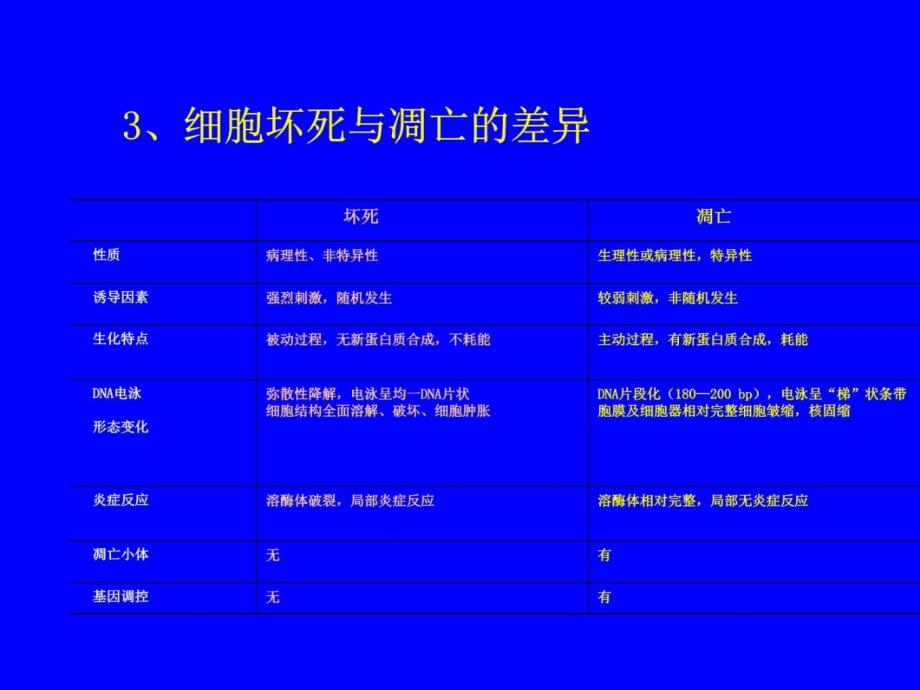 分子肿瘤学--细胞凋亡与肿瘤课件培训讲学_第4页