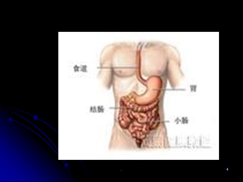 排便异常病因及治疗护理PPT课件_第4页