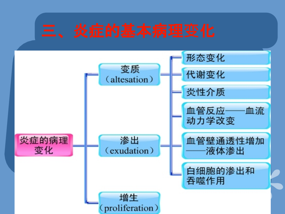 第三章 炎 症_第4页