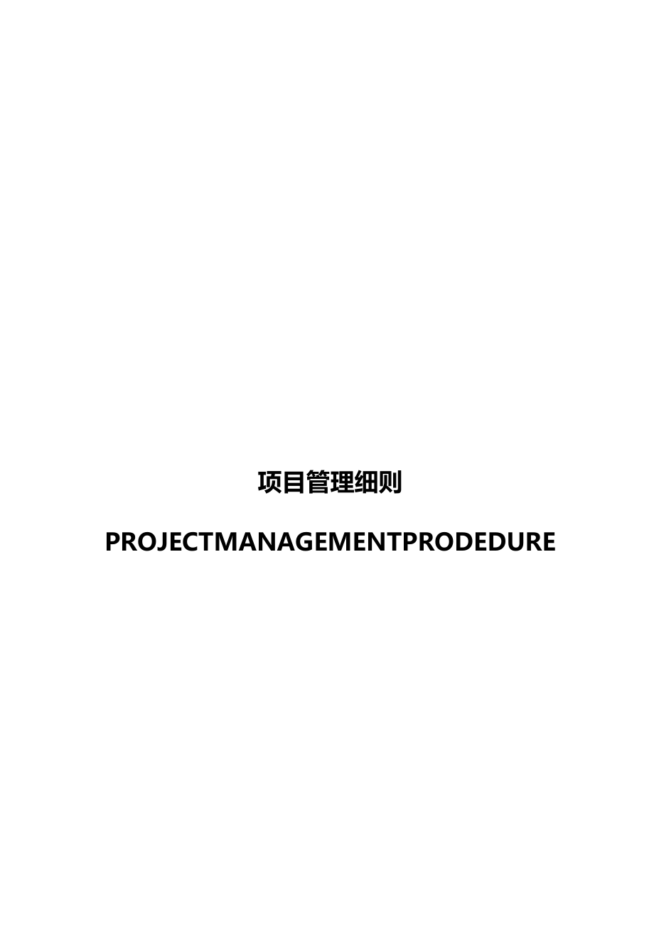 项目管理项目经理项目管理细则_第2页