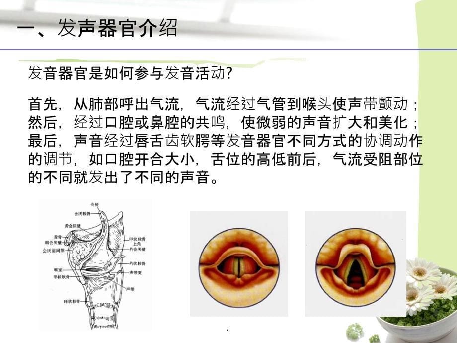 发声训练培训PPT课件_第5页