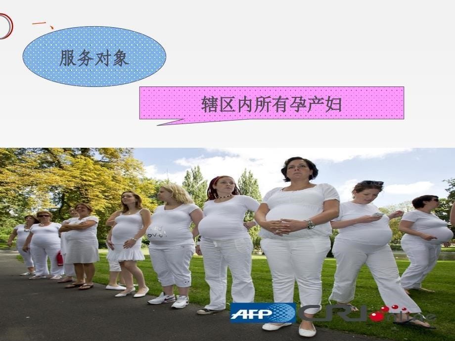 第五期：孕产妇健康管理服务规范_第5页