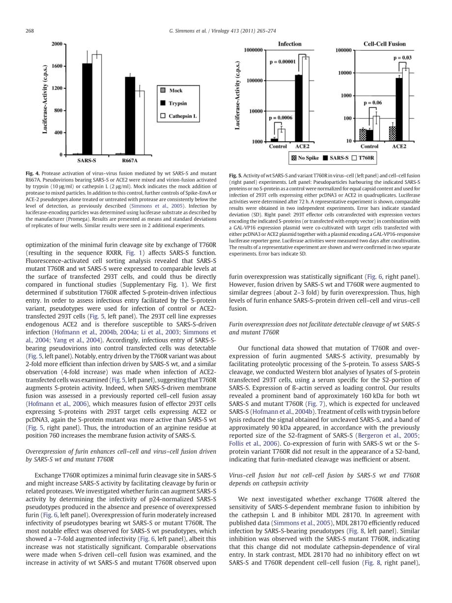 2011 Different host cell proteases activate the SARS-coronavirus spike-protein for cell_cell and virus_cell fusion_第4页