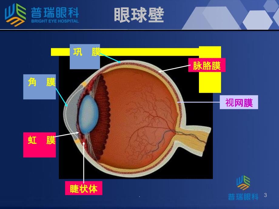 上海普瑞眼科医院青光眼讲座PPT课件_第3页