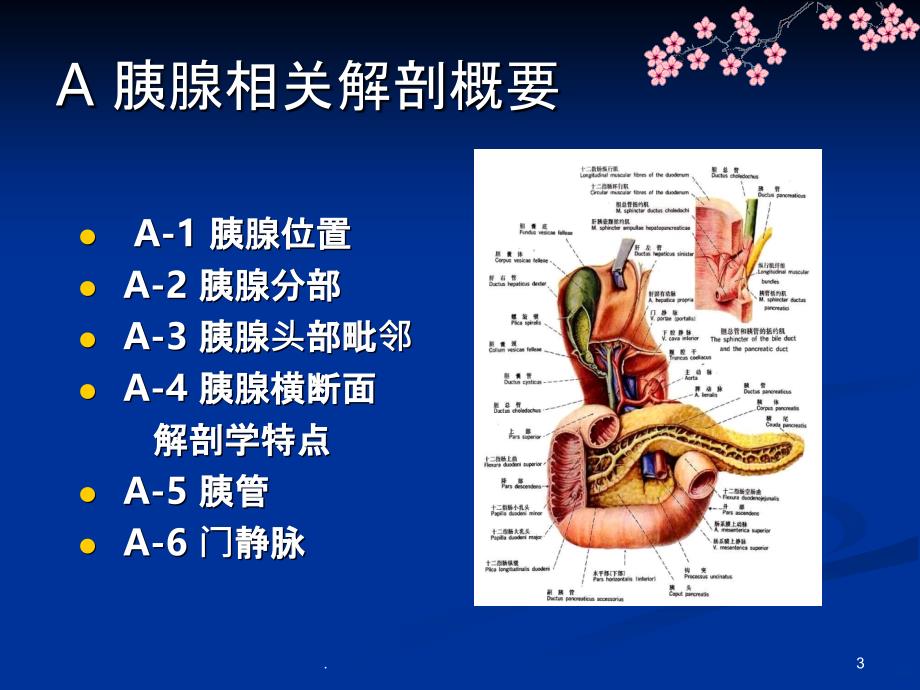 胰头癌影像学表现PPT课件_第3页